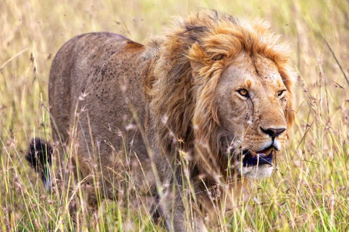 ARUSHA NATIONAL PARK